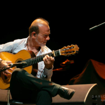 190704_0494_Juan-Carmona-Quartet_WEB 190704_0494_Juan-Carmona-Quartet_WEB