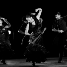 190705_1028_Ballet-Flamenco-de-Andalusia_WEB 190705_1028_Ballet-Flamenco-de-Andalusia_WEB