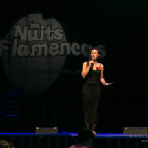 190706_2014_Compagnie-Jesus-Carmona_WEB 190706_2014_Compagnie-Jesus-Carmona_WEB