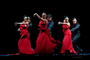 220701-2537_Nuits-Flamencas-_Cie-Antonio-Najarro_WEB